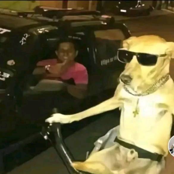 🇨🇴🇨🇴 Gutiérrez🇨🇴🇨🇴🤑