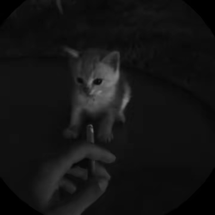 ◦•●◉✿ Å𝔃 ✿◉●•◦