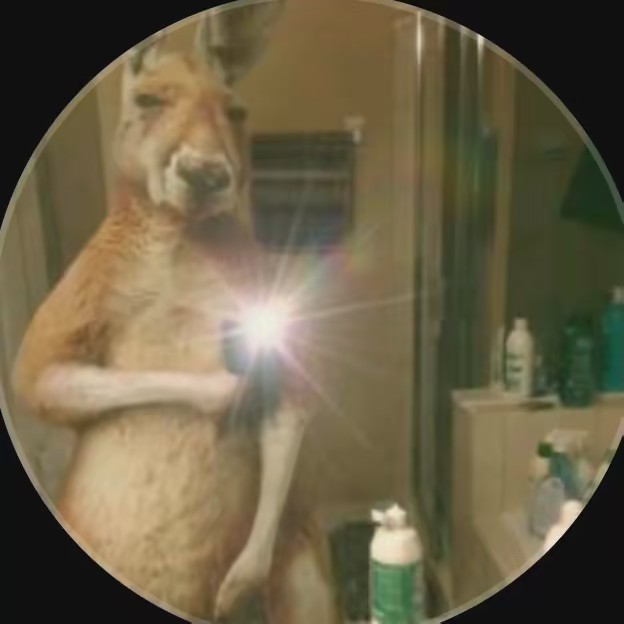 Donnobernaliux 8 🩷