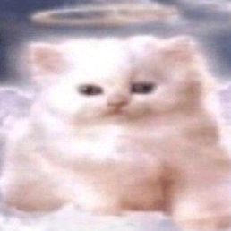 убейте меня