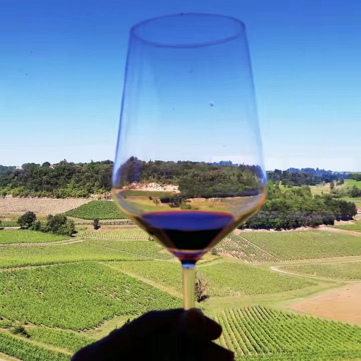 Natty ไฮโซบางพลี