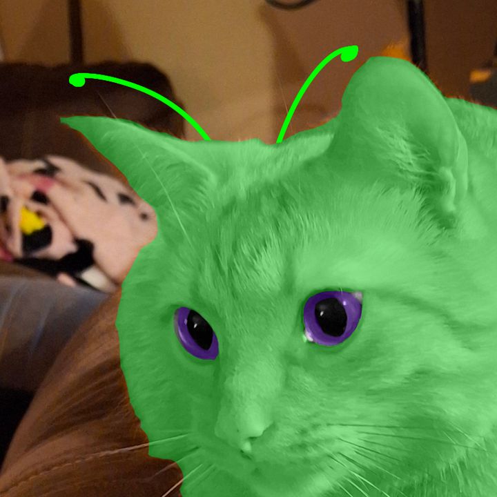 🏳️‍⚧️Cal/Tobi/Finn🏳️‍⚧️