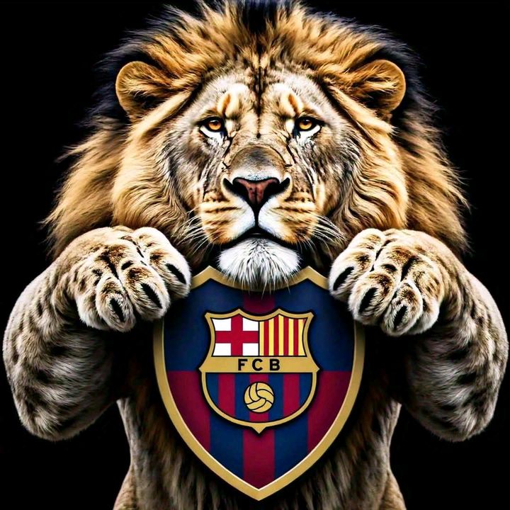 el tigre 🐅🇬🇹 502