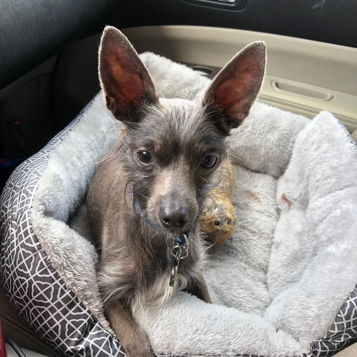 littlestansbigadventures