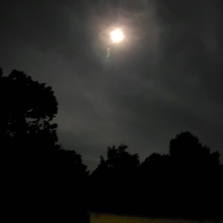 Trishapullup🏎️💨💨