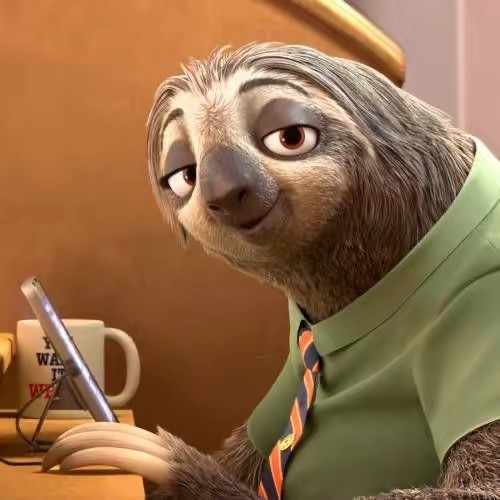 lucy | vet student 🐶🩺