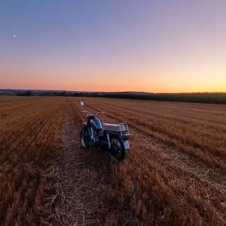 1.𝕷𝖚𝖎𝖘.7