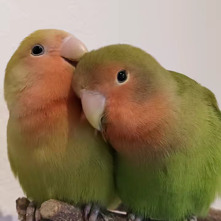 Ettore&Pina❤️❤️