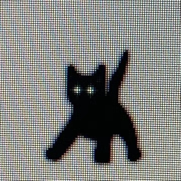 🌀 ¿ Julie ? 🌀