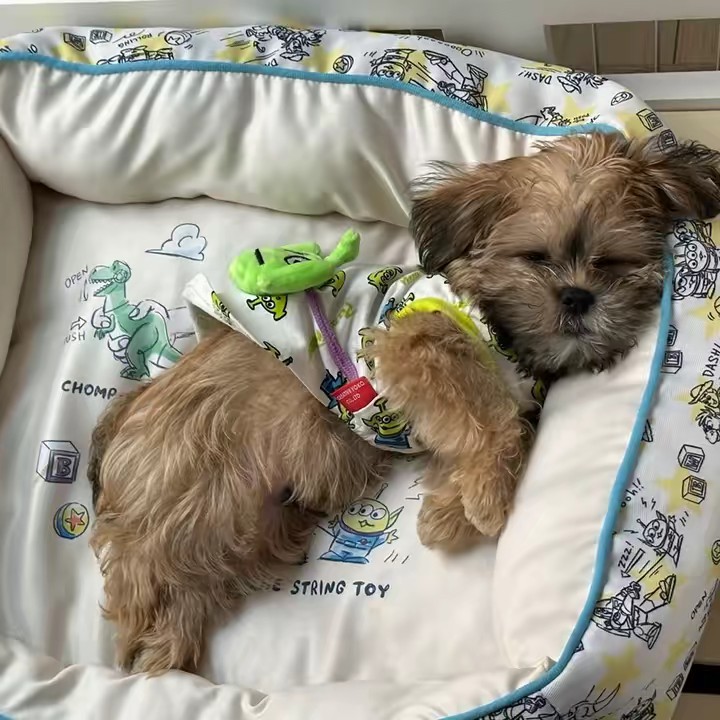 プライド以外に何がいるんだ！