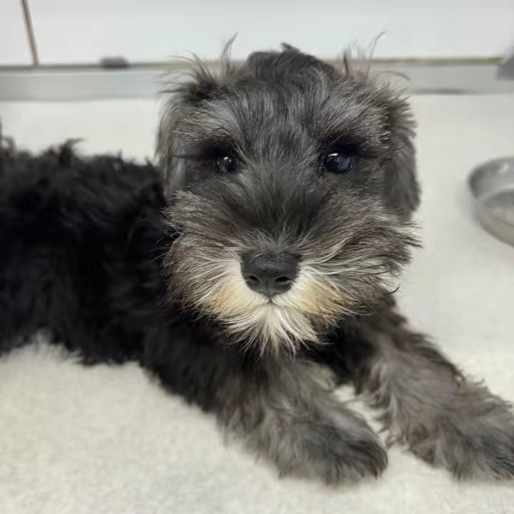 はっぴーちゃん♡