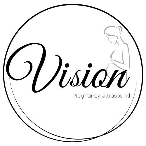 Vision by Emily Ley