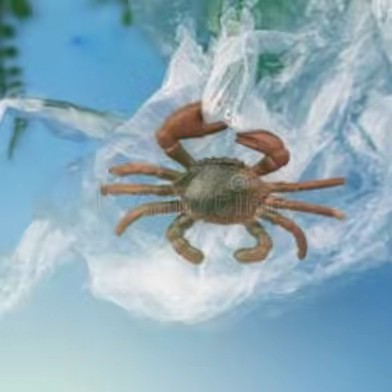 Plastic Crab
