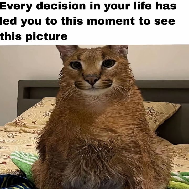 valkkkkkkkkkkkkkkkkkkk