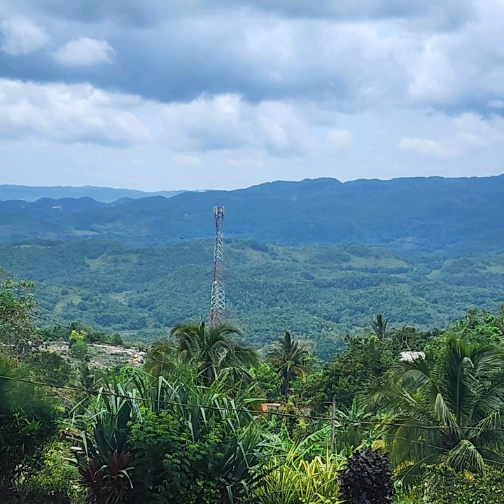 official @cher blaze