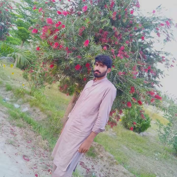 Ali Ghuman 307