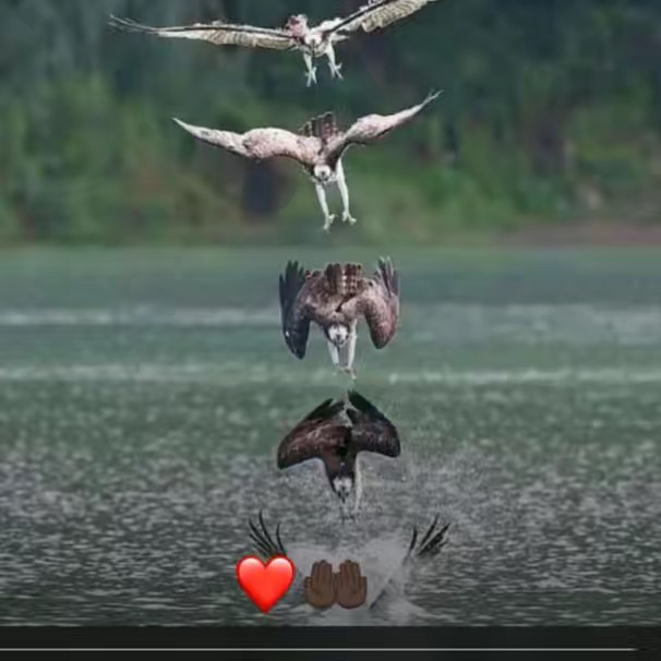 PETIT🥀DYABI ❤️📴🇨🇵💰