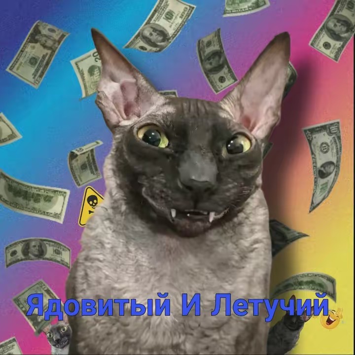 🦇Ядовитый И Летучий🦇