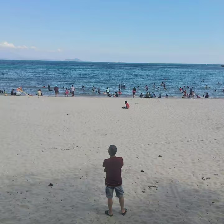 THE SHORT HIGHLIGHTS