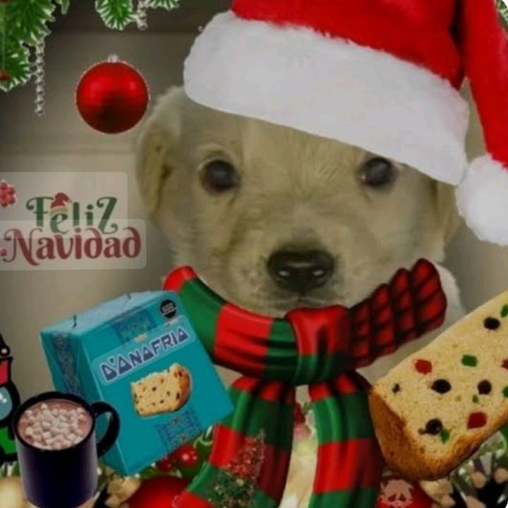 Eddie 💙🖤♥️