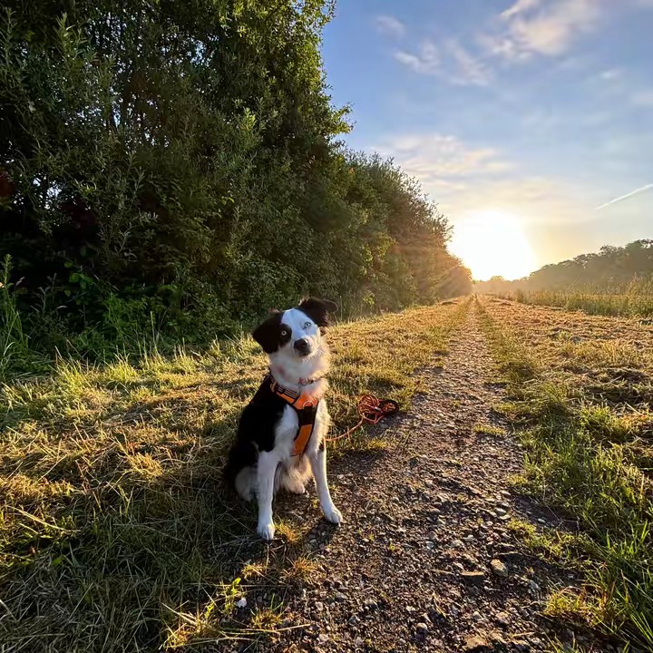 Micha22395🇩🇪 🇪🇺 (Gen❌)