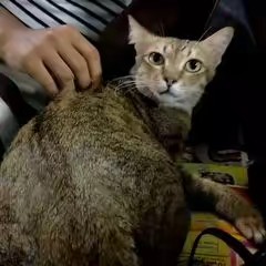 บ้านคุณหนู