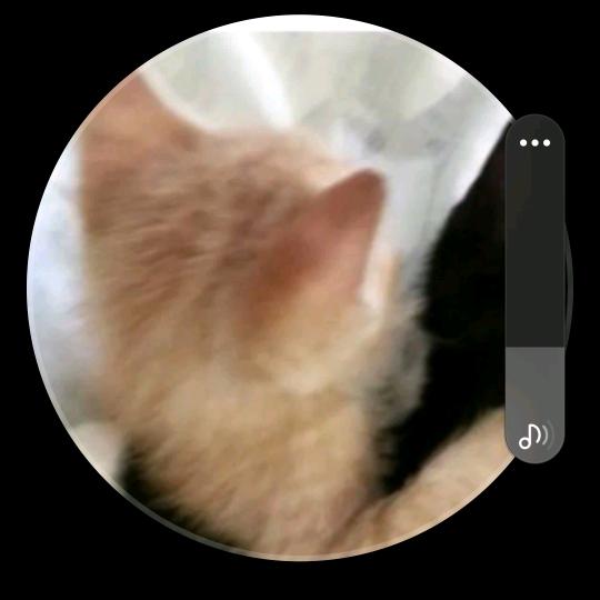 ╰(*´︶`*)╯♡to.gg