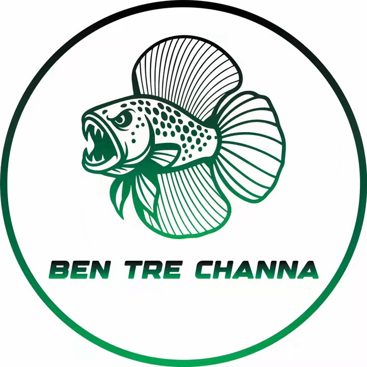 Thủy Sinh Bến Tre new