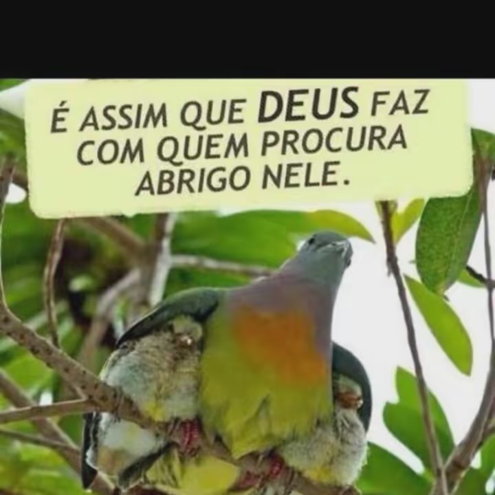 🍎Gabriela Barreto 🍎