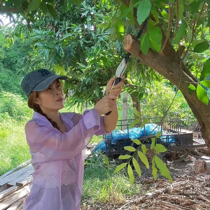 wimon ล้านshop