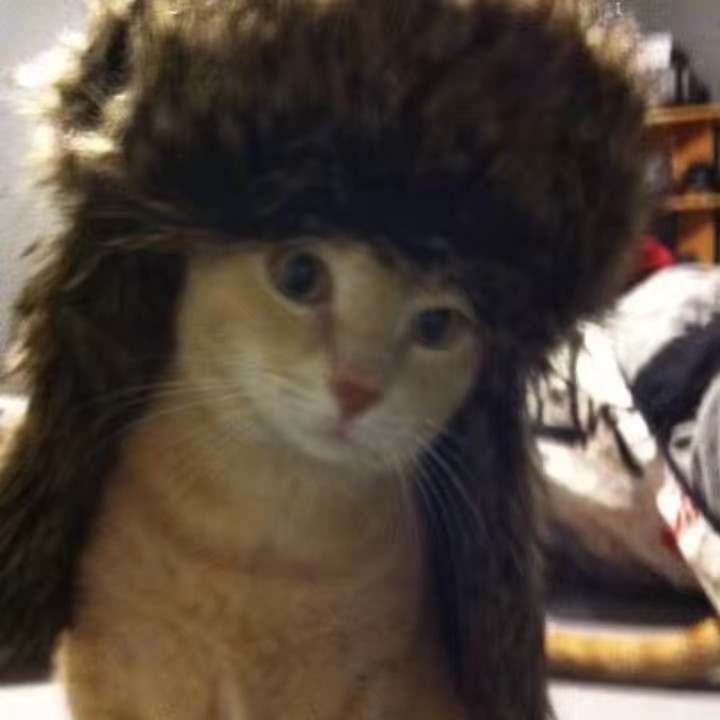 🪐 (lennon’s version)