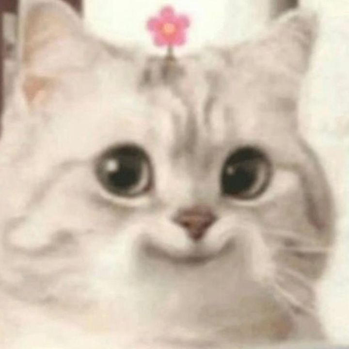 💡민채💡minchae  ྀི