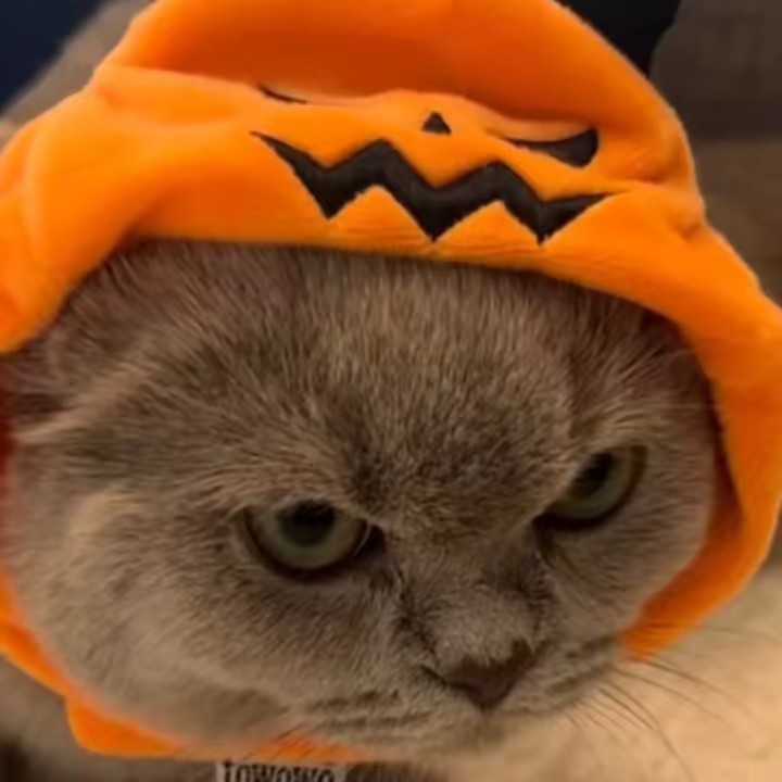 คะครีมมมมมมม