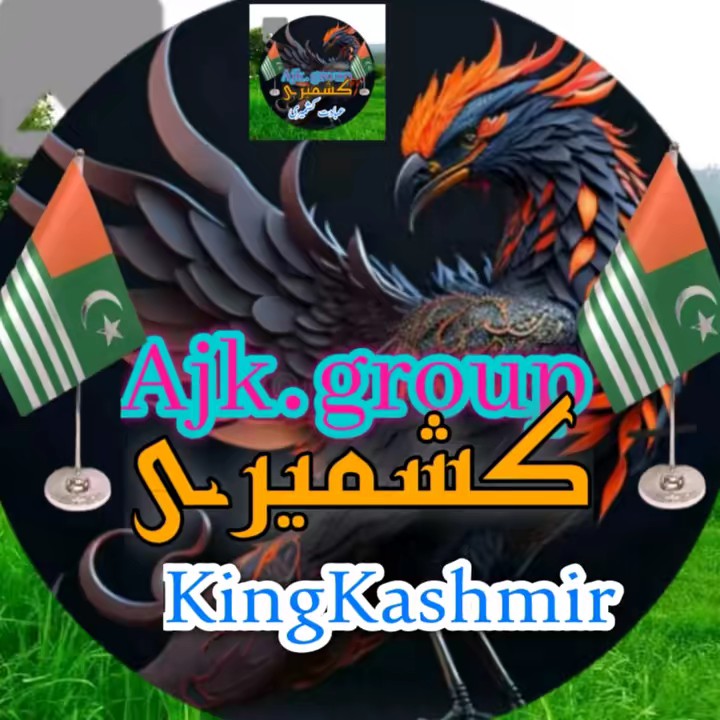 kingkashmiri