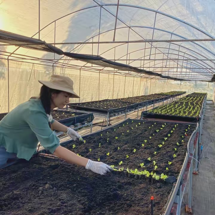 จุลินทรีย์ Biosm