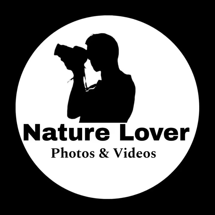 𝙽𝚊𝚝𝚞𝚛𝚎 𝙻𝚘𝚟𝚎𝚛