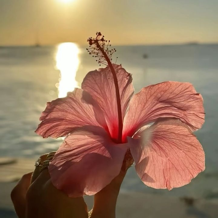 Zo🩷💕🤍🩵🎀🌺✝️☦️