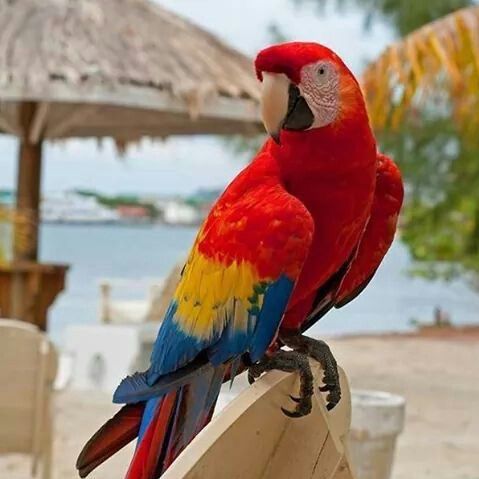 Mindset 🤲📵☕️💰🗽