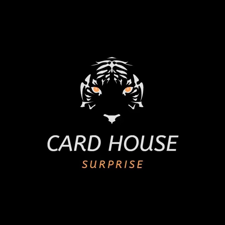CARD HOUSE