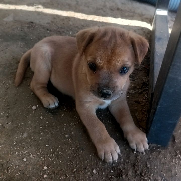 Raymundo Salazar Cor