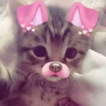 ✞⇜𝐀𝐢𝐦⇝✞