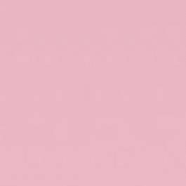 𝐎𝐥𝐢𝐯𝐢𝐚