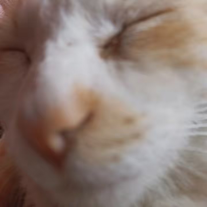 Uriel _84395: ∣⃝⌿