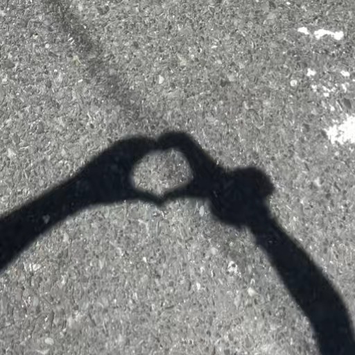 ꒰ঌNamiྀི໒꒱