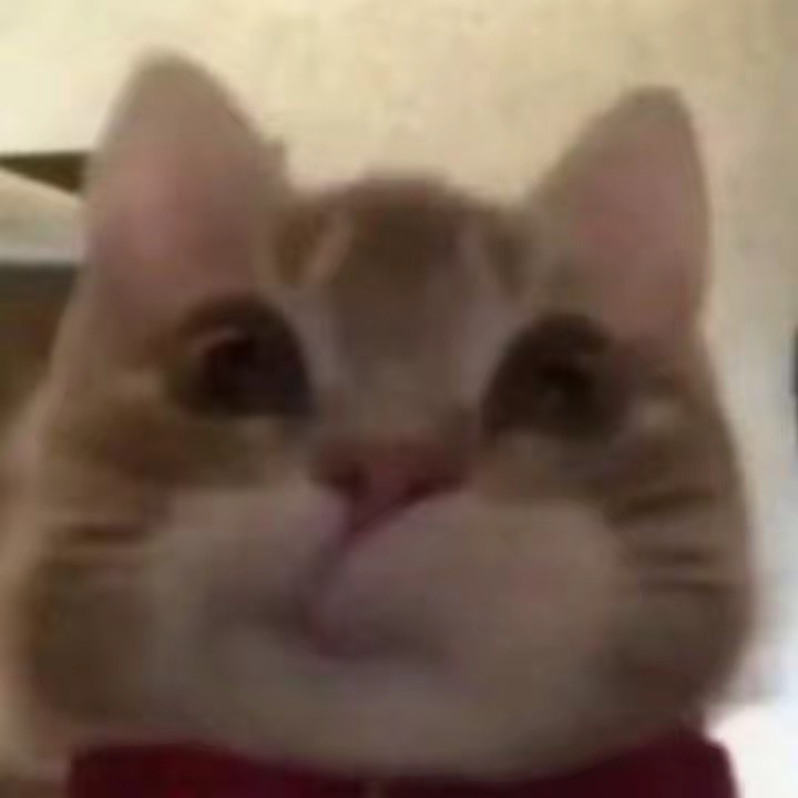 ผัดบวบใส่ไข่