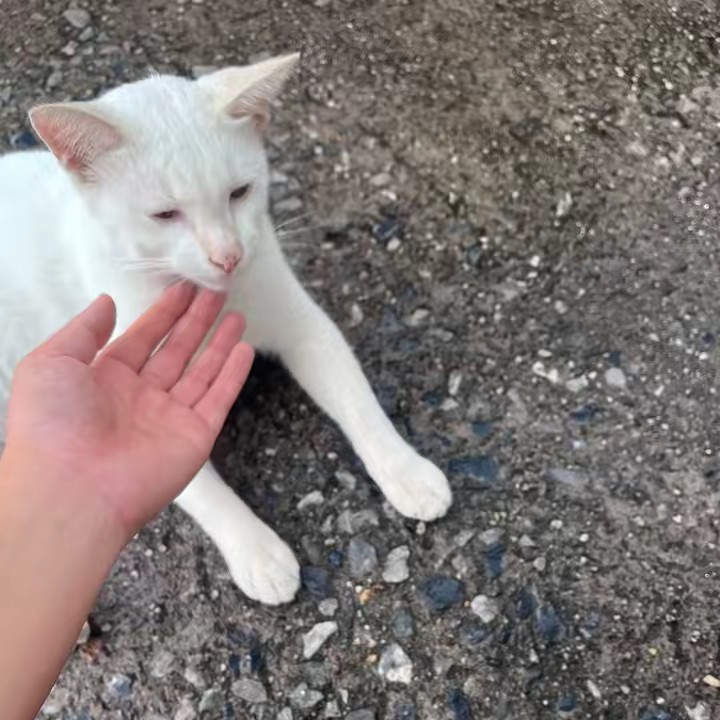 คิดออกเดี๋ยวตั้ง?