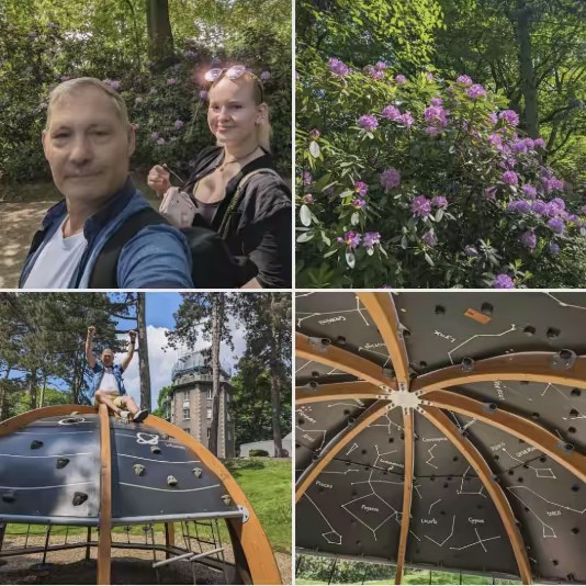 Official Taylor Kitschs