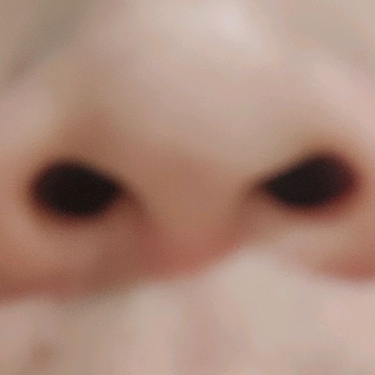 𝐑𝐌𝟏 .𝐧𝐲𝐨𝐭𝐭.