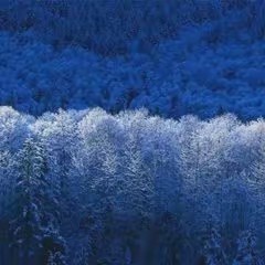 Edwin Gurgua Rodrigu