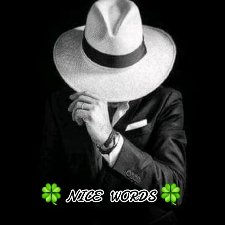 🍀 Nice Words  🍀